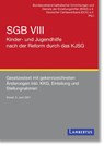 SGB VIII - Kinder- und Jugendhilfe nach der Reform durch das KJSG - Bundesverband Caritas - 9783784133942