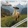 Llamas - Lamas 2019 -  - 9783800336883