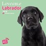 Lovable Labrador - Labrador Retriever 2019 - 18-Monatskalender - HUIJING,  Myrna - 9783800337064