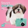 Sweet Shih Tzu - Shih Tzu 2019 - 18-Monatskalender - HUIJING,  Myrna - 9783800337095