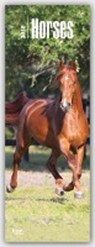 Horses - Pferde -  - 9783800339099