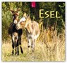 Esel 2019 -  - 9783800359417