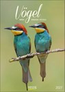 Vögel 2027 -  - 9783819300646