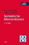 Systemische Interventionen - SCHLIPPE,  Arist von - 9783825248109