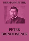 Peter Brindeisener - Hermann Stehr - 9783849636630