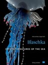 Blaschka (HD-Version) - Heidi Koch ; Hans-Jürgen Koch - 9783862180431