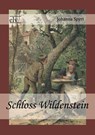 Schloss Wildenstein - Johanna Spyri - 9783862671564