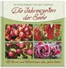 Die Jahreszeiten der Seele - ZACHMANN,  Doro - 9783863381325