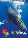 Entdecke die Wale - Thorsten Pickel - 9783866592483