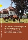 Haupt- und Landgestüt in Neustadt (Dosse) - DRACHENBERG,  Thomas - 9783867322584