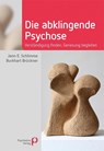 Die abklingende Psychose - Jann Schlimme ; Burkhart Brückner - 9783884146422