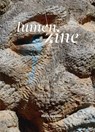 Lumen Zine Heft 15: Heidi Specker - Sabine Jelinek - 9783903447271