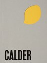Alexander Calder: From the Stony River to the Sky - Jessica Holmes Dam - 9783906915258