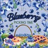 It's Blueberry Picking Time - Kerianne Jelinek - 9783935908986