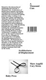 A Thousand Cuts: Architectures of Displacement - Marc Angélil ; Cary Siress - 9783944074641