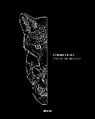 Symmetries - Valentin Hirsch - 9783954761036