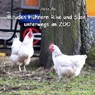Lübbe, E: Mit den Hühnern Rike und Suse unterwegs im ZOO - LÜBBE,  Eva - 9783957533517