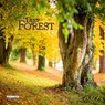 Deep Forest 2027 -  - 9783959296601