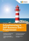 Schnelleinstieg in SAP Business One - Finanzwesen - Carmen Serpe - 9783960127369