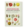 Historische Heilpflanzen - Acht Kunst-Klappkarten -  - 9783968492063