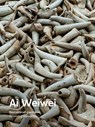 Ai Weiwei - Ai Weiwei - 9788417047931