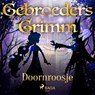Doornroosje - De gebroeders Grimm - 9788726853636