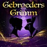 Hazebruidje - De gebroeders Grimm - 9788726853797