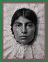 Pieter Henket: Birds of Mexico City - Pieter Henket - 9788862088558