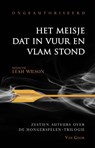 Het meisje dat in vuur en vlam stond - Leah Wilson - 9789000316403