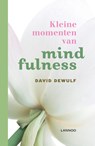 Kleine momenten van mindfulness - David Dewulf - 9789020942101