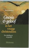 Gnosis en geloof in het vroege christendom - ROUKEMA, R. - 9789021137087