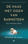 De haas met ogen van barnsteen - Edmund de Waal - 9789023495260