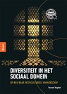 Diversiteit in het sociaal domein - Youssef Azghari - 9789024402045