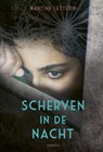 Scherven in de nacht - Martine Letterie - 9789025876142
