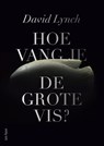 Hoe vang je de grote vis? - David Lynch - 9789025907099