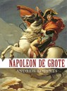 Napoleon de Grote - Andrew Roberts - 9789035144682