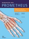 Algemene anatomie en bewegingsapparaat - Michael Schünke ; Erik Schulte ; Udo Schumacher - 9789036815383