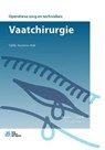 Vaatchirurgie - Jennifer Mandelli ; Leoni Reimert - 9789036821933