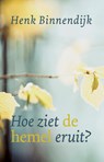 Hoe ziet de hemel eruit? - Henk Binnendijk - 9789043532129