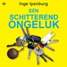Een schitterend ongeluk - Inge Ipenburg - 9789044354645