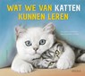 Wat we van katten kunnen leren - Cynthia-L. COPELAND - 9789044751062