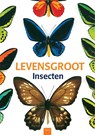 Levensgroot. Insecten - Minori Kosugi - 9789044819991