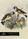 Vogelscheurkalender - Sander Blom ; Kester Freriks - 9789045028743