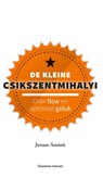De kleine Csikszentmihalyi - Jeroen Ansink - 9789047011989