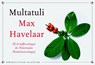 Max Havelaar - Multatuli - 9789049801342