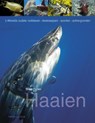 Haaien - PARKER, Steve - 9789052107776