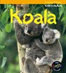 Koala - Rob Theodorou - 9789054959441