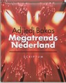 Megatrends Nederland - Adjiedj Bakas - 9789055943814