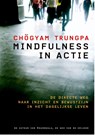 Mindfulness in actie - Chögyam Trungpa - 9789076681252