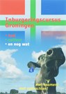 Inburgeringscursus Groningen - Frank den Hollander ; Herman Sandman - 9789077487556